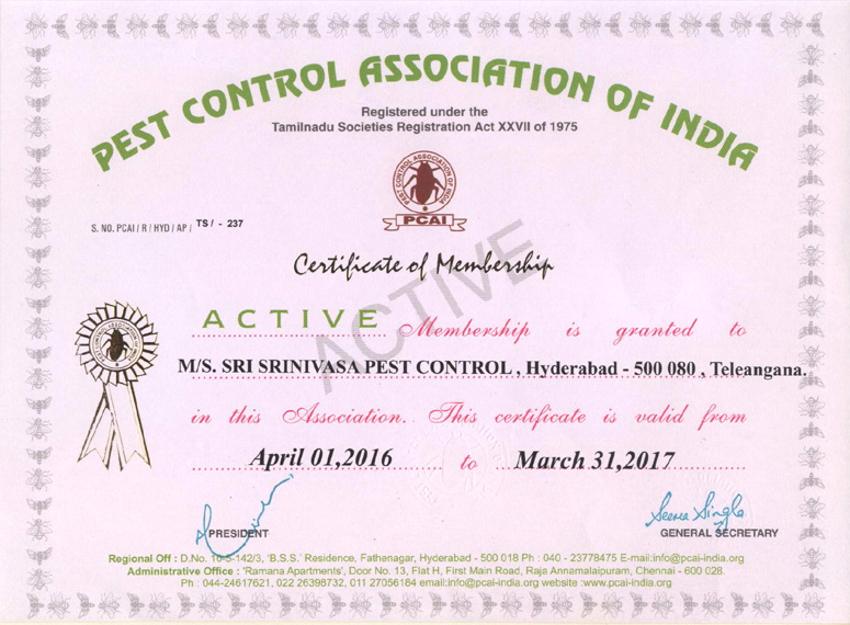 pcai-certificate