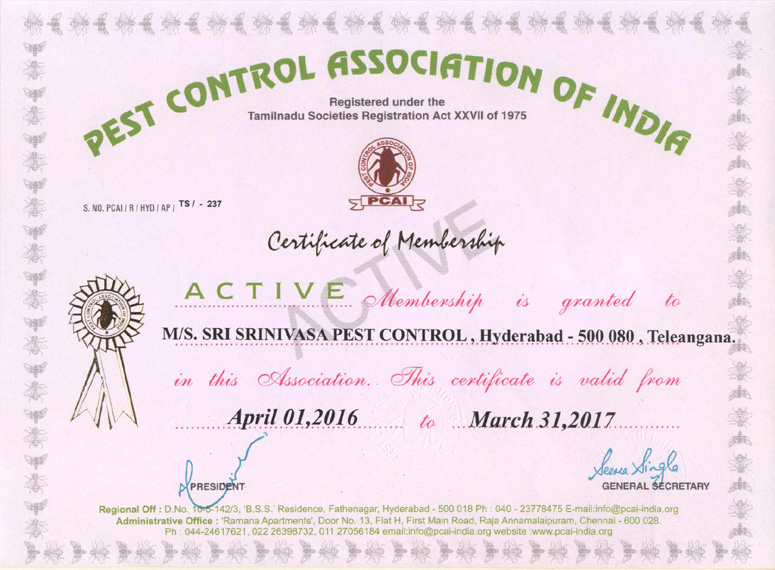 pcai-certificate